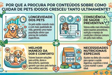 Por que a procura por conteúdos sobre como cuidar de pets idosos cresceu tanto ultimamente?