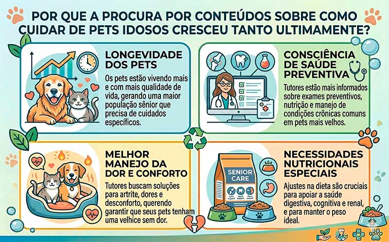 Por que a procura por conteúdos sobre como cuidar de pets idosos cresceu tanto ultimamente?