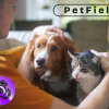 Assinatura para produtos pet Santa Catarina