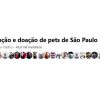 Grupo de protetores de animais do centro de São Paulo