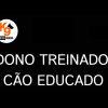 k9 pro series, adestrador mogi das cruzes, venda de caes em mogi